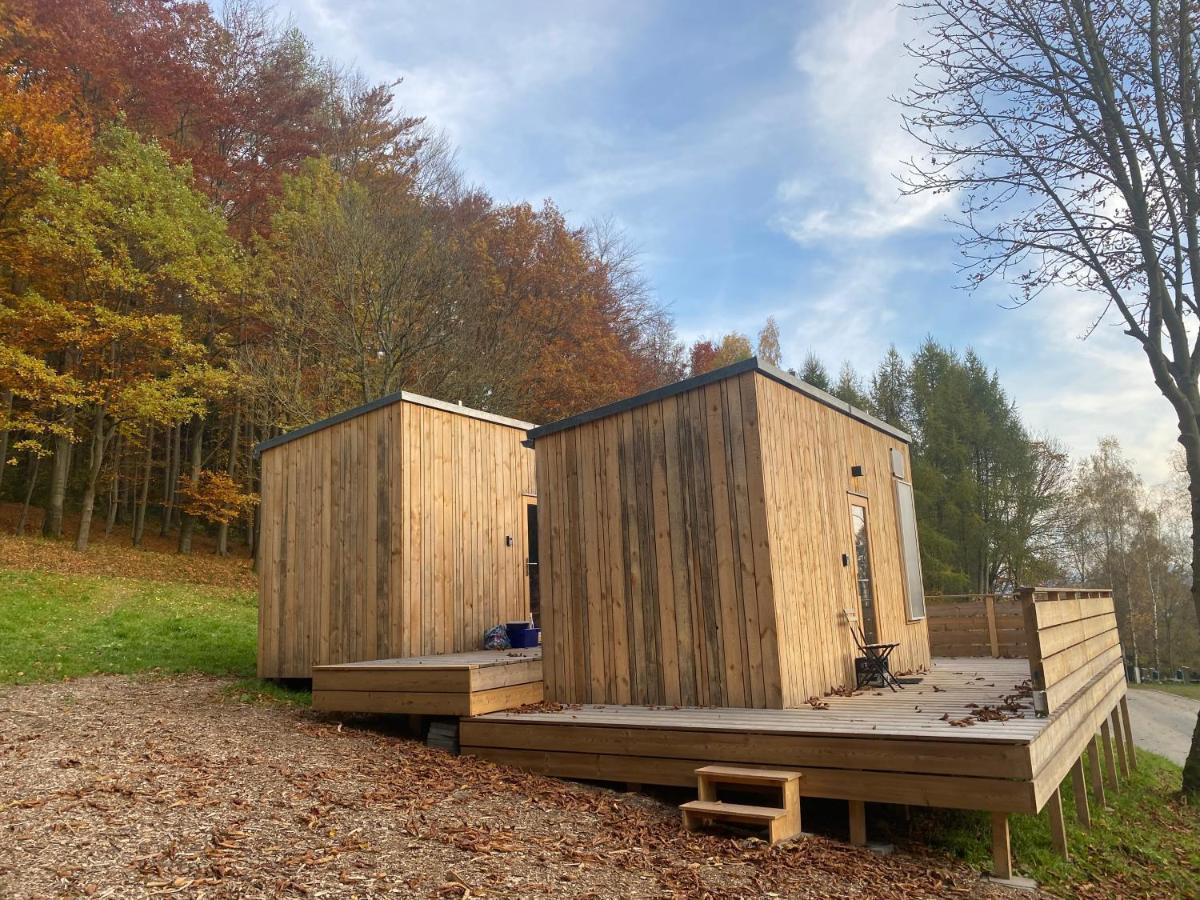 Wiltzsch Zinipi Retreat Gelenau "Eber"ヴィラ エクステリア 写真