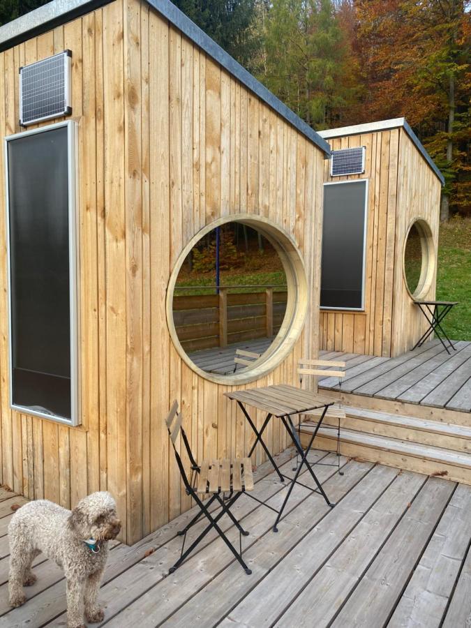 Wiltzsch Zinipi Retreat Gelenau "Eber"ヴィラ エクステリア 写真
