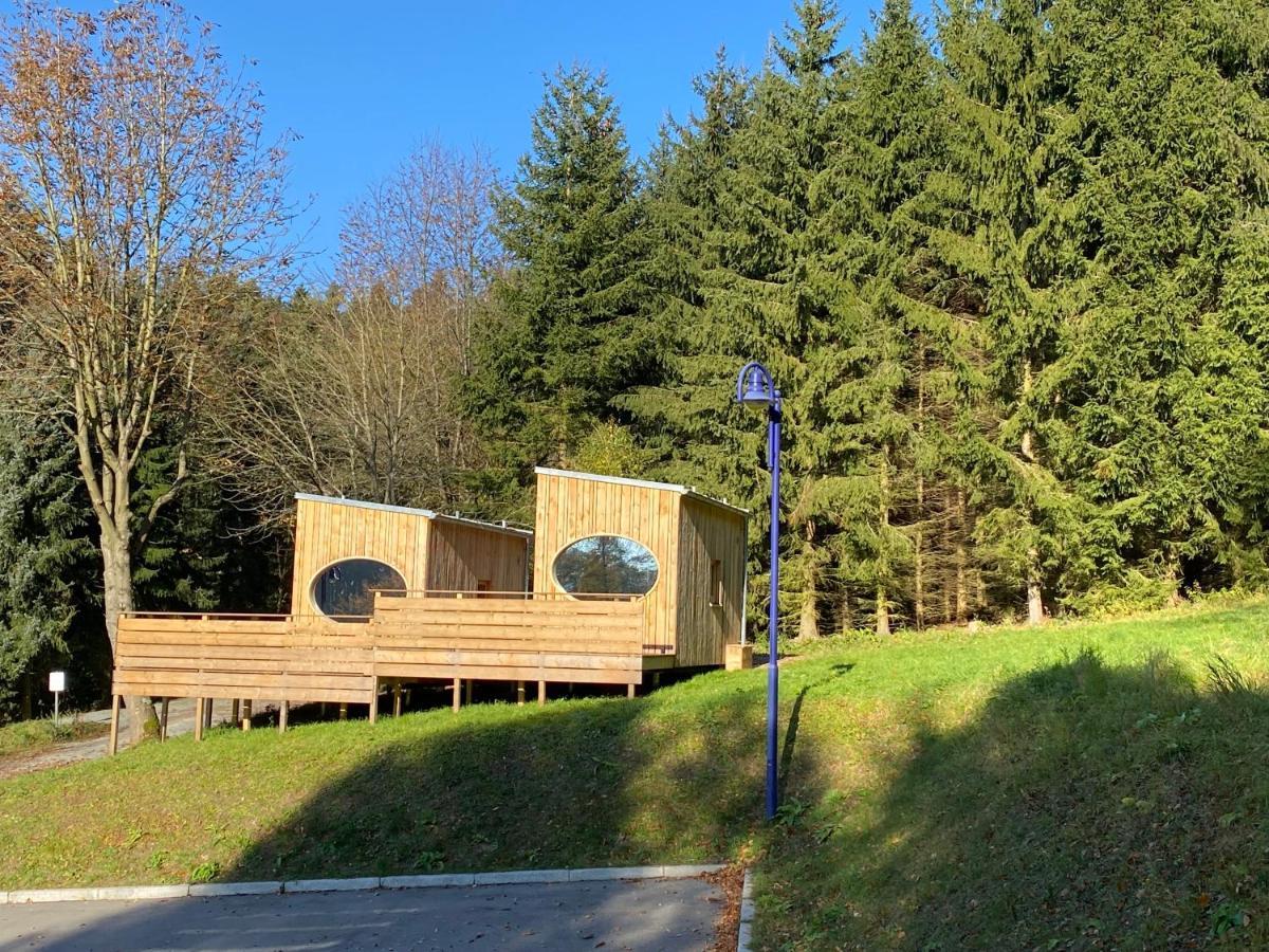 Wiltzsch Zinipi Retreat Gelenau "Eber"ヴィラ エクステリア 写真